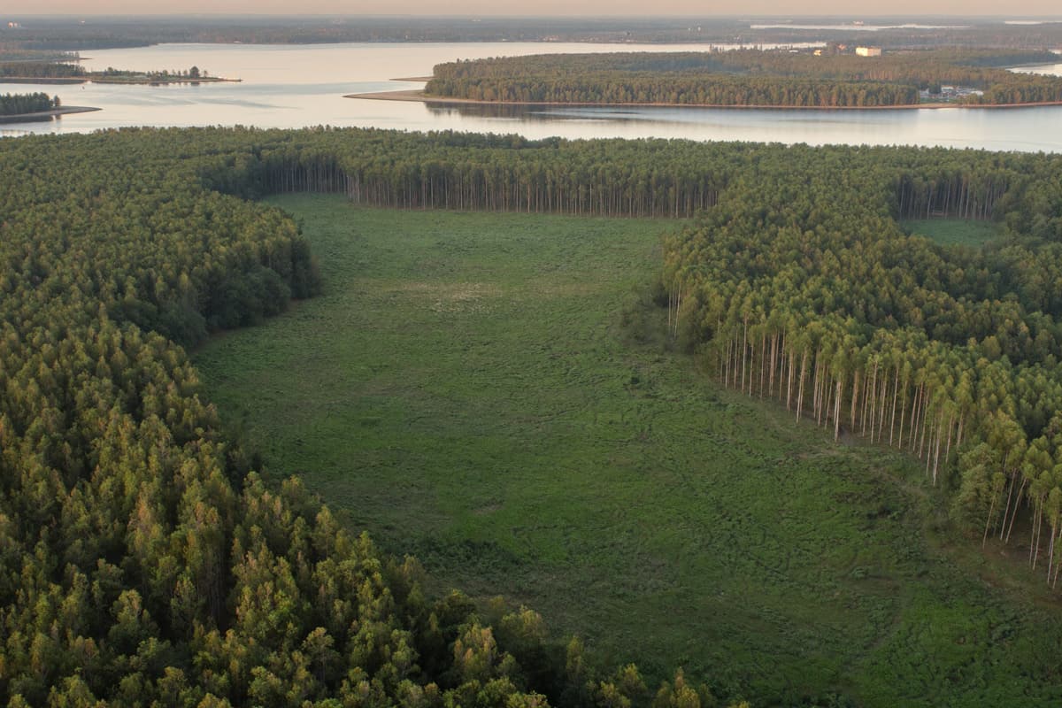Entwicklungsgrundstück, Berlin-Heiligensee (Symbolfoto)